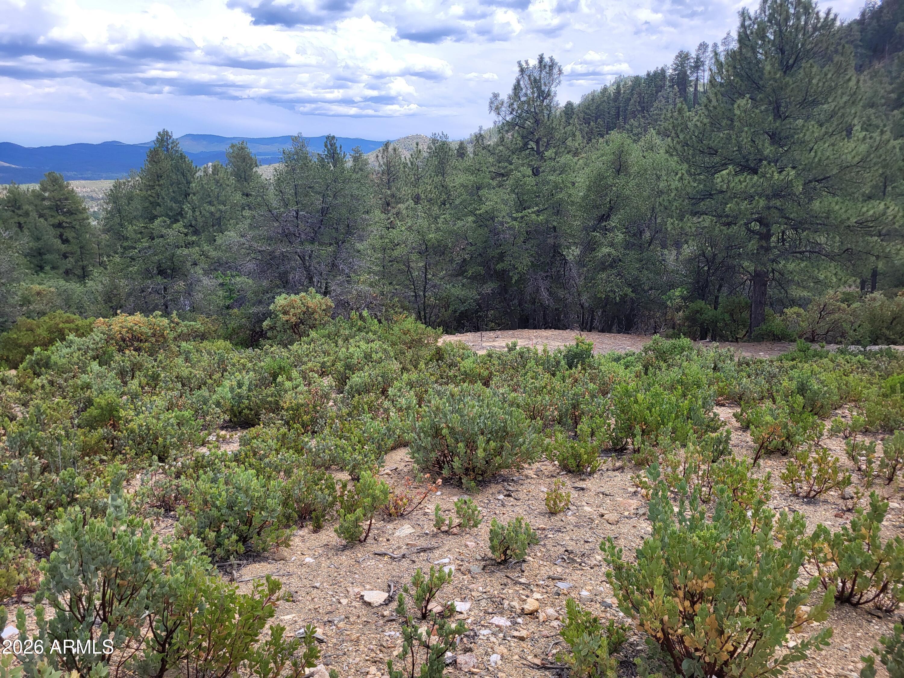 HIGH VALLEY RANCH - Land
