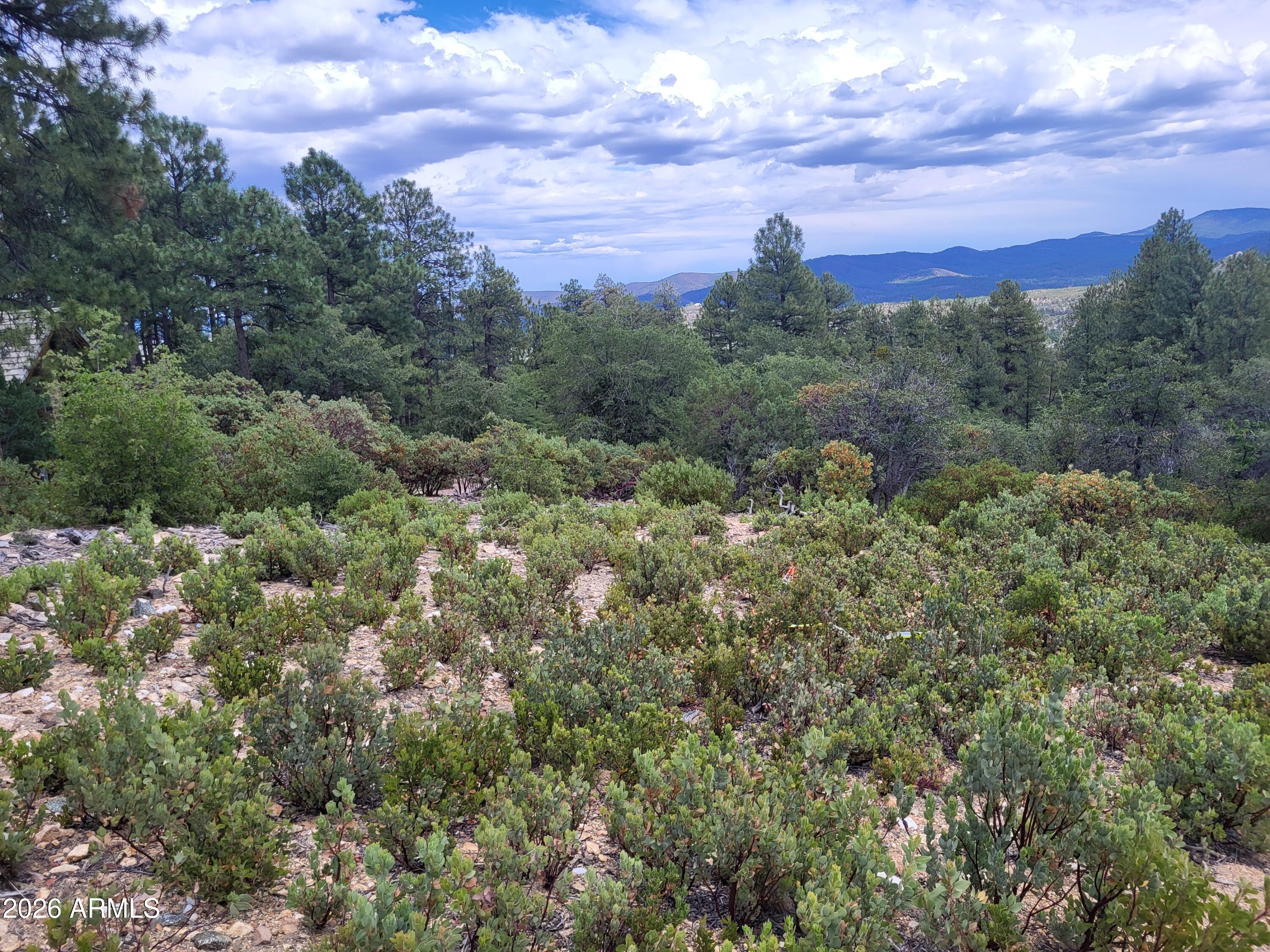 HIGH VALLEY RANCH - Land