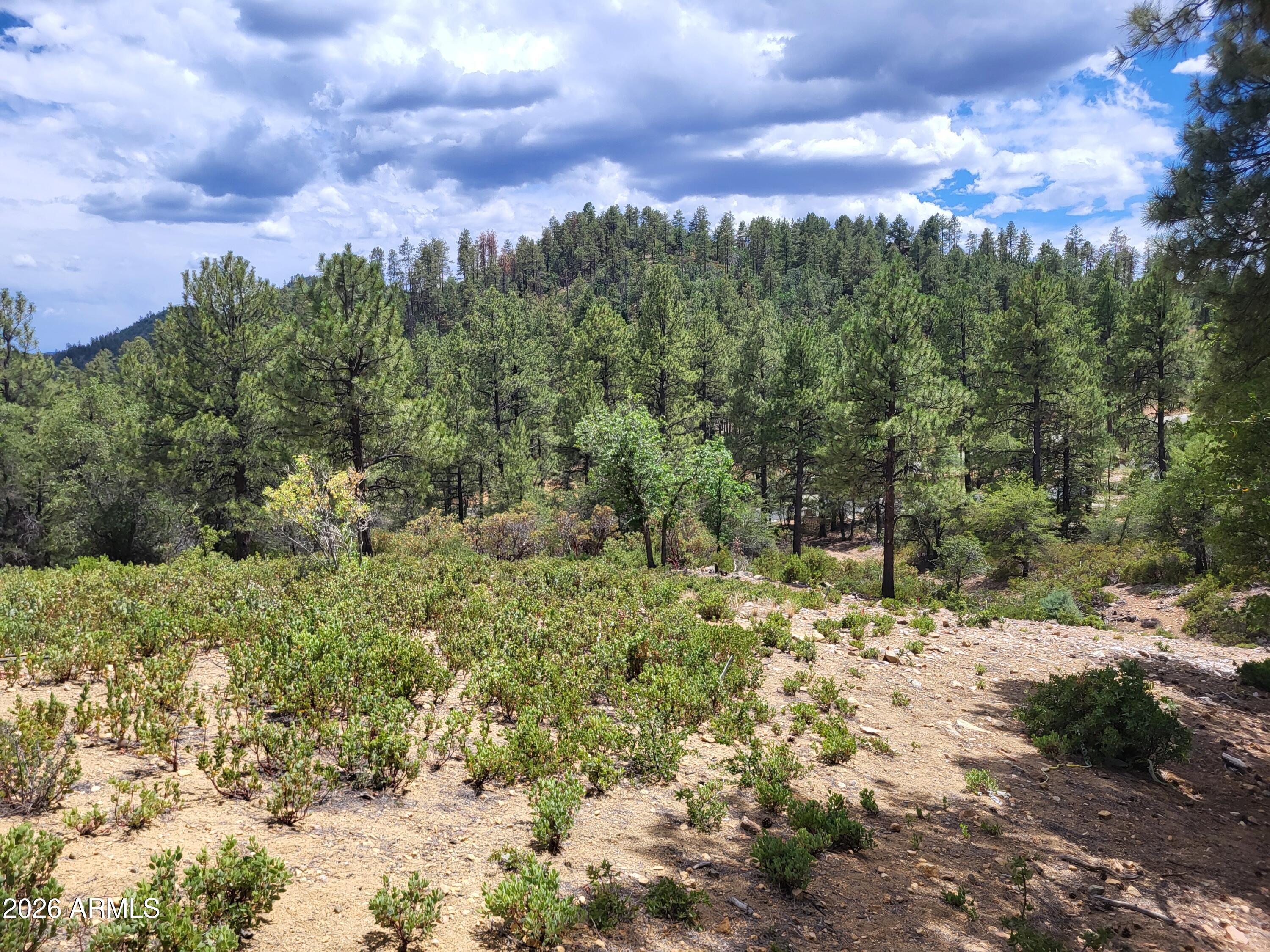 HIGH VALLEY RANCH - Land