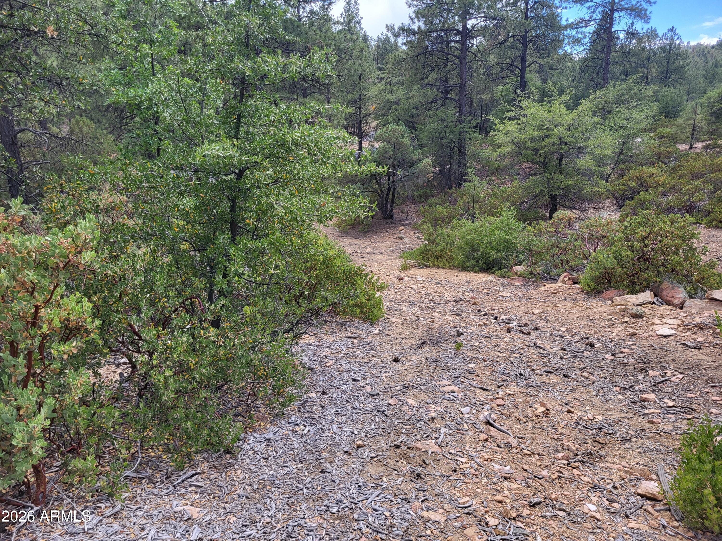 HIGH VALLEY RANCH - Land