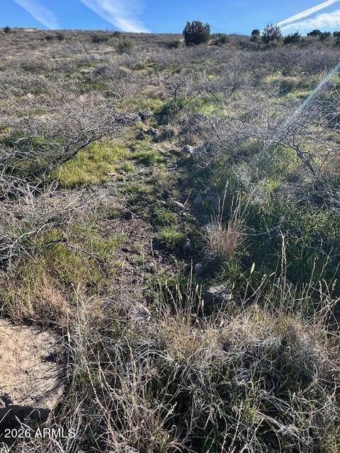 BENSCH RANCH UNIT 1 - Land