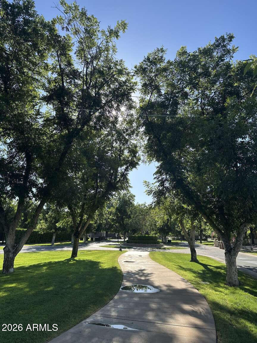 PECAN LIGHTS - Residential