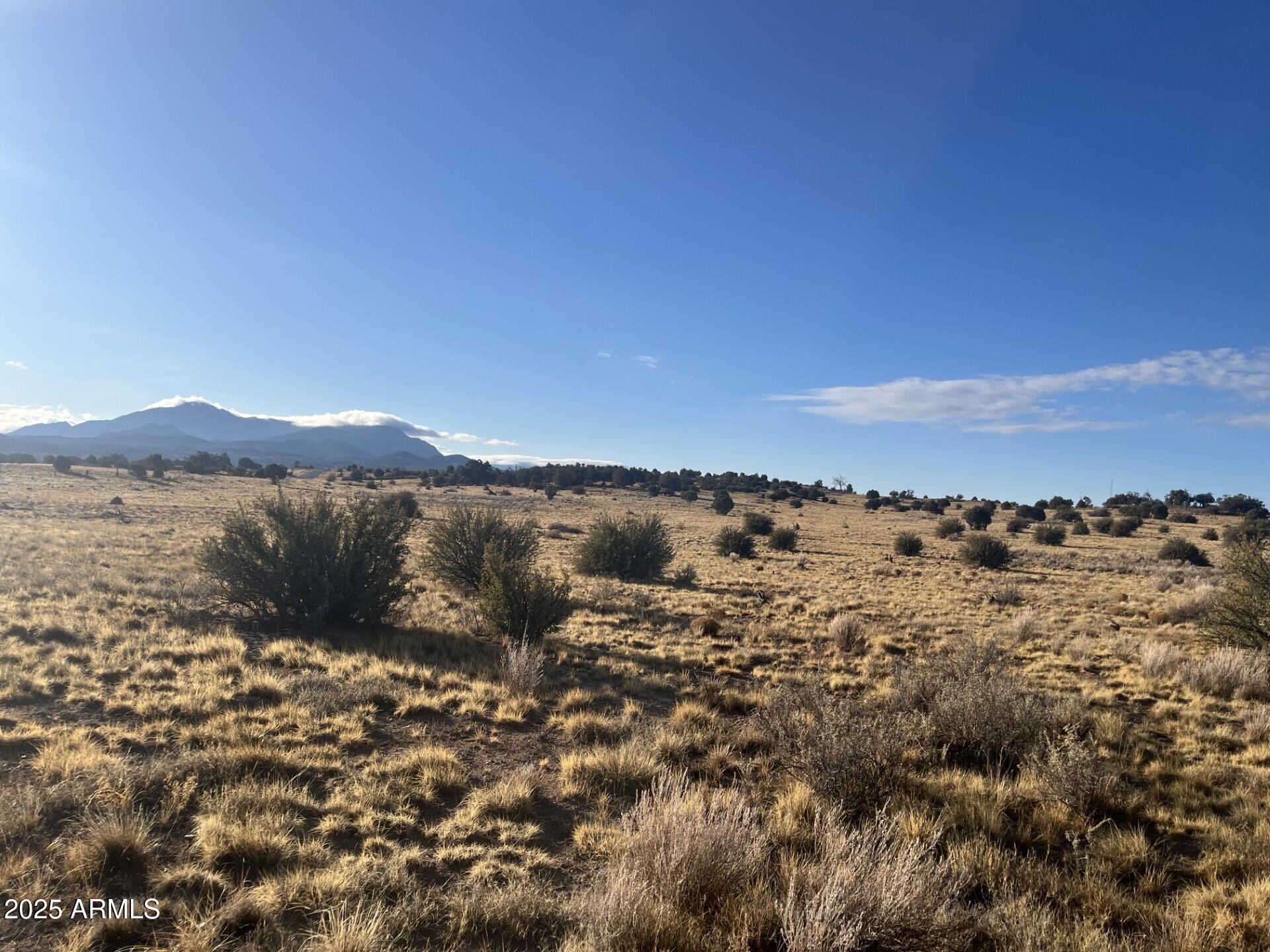LONG MEADOW RANCH Exclusive Gated Community. New upcoming subdivision with Arizona Urban Ranch Homes for those who enjoy ranch living.  Mini-Ranches in a luxury home community are the upcoming trend in this neighborhood.