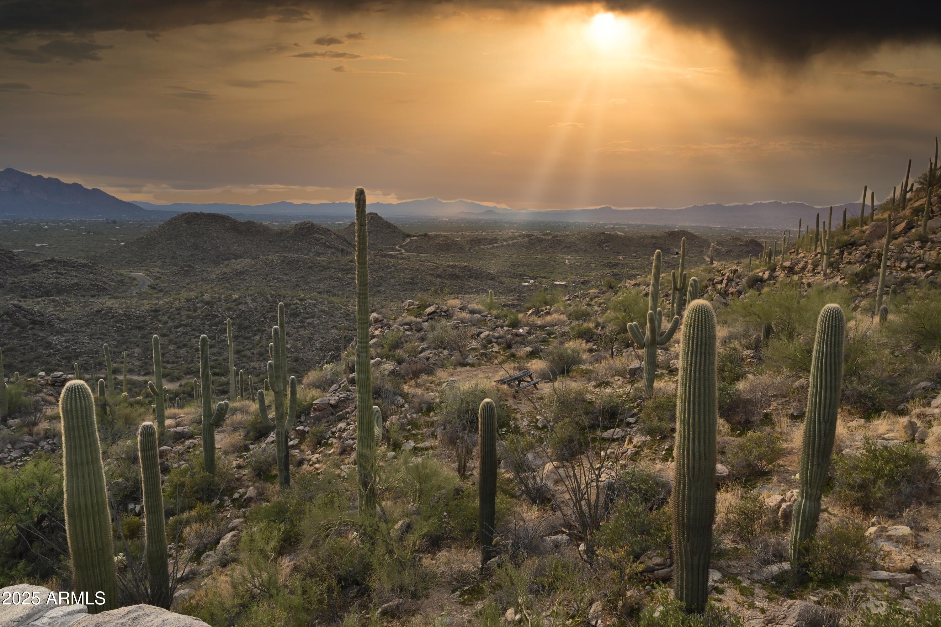 Saguaro Ranch - Land