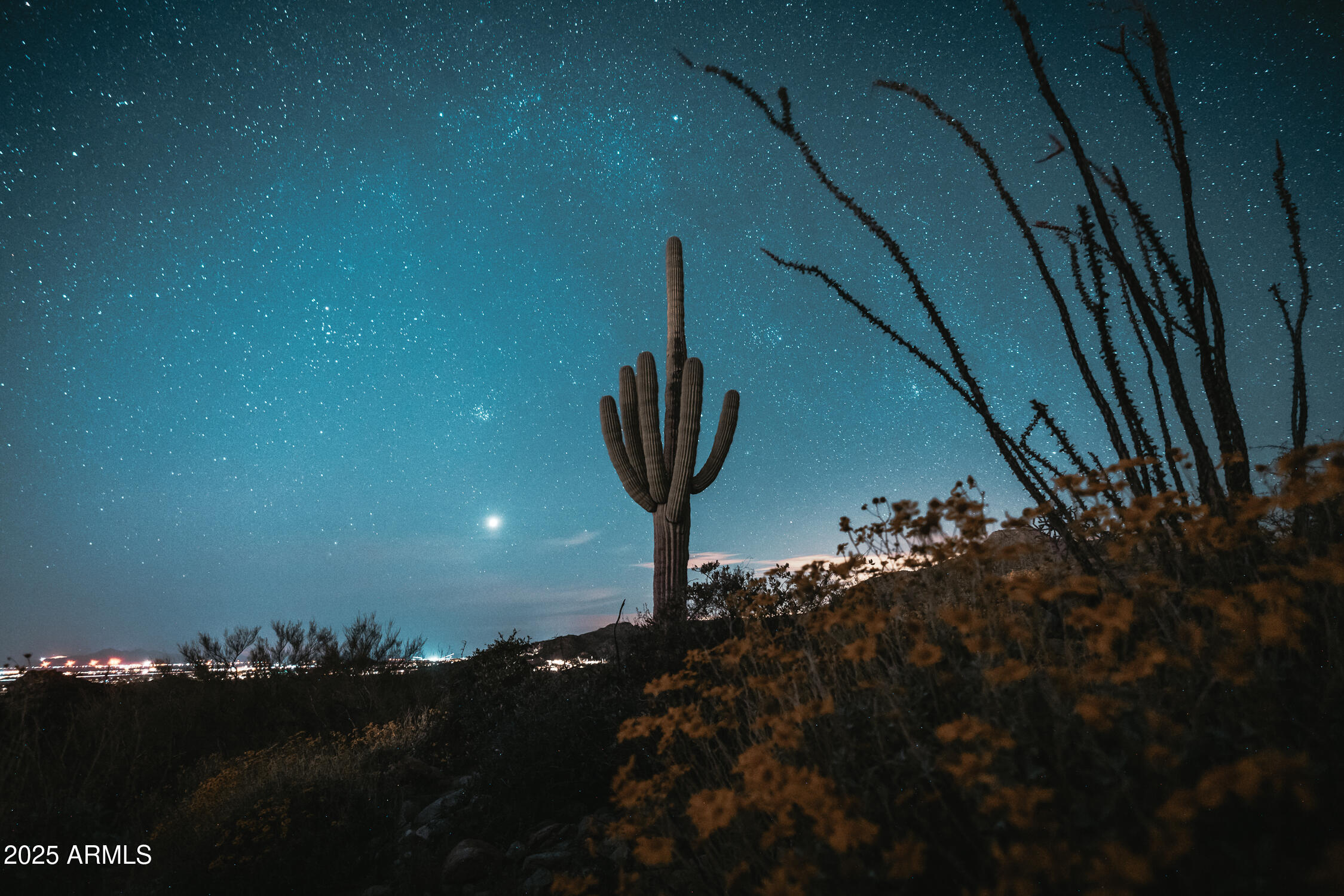 Saguaro Ranch - Land