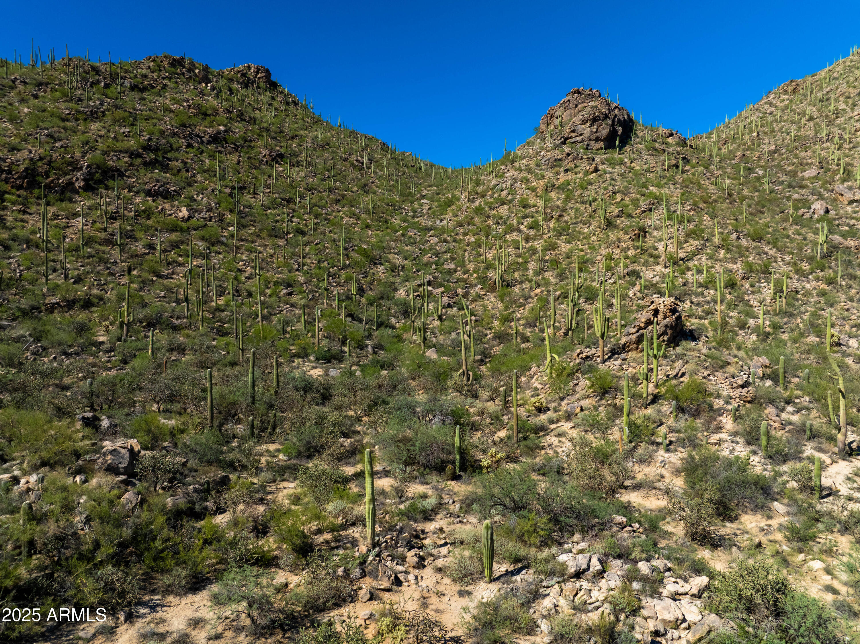 Saguaro Ranch - Land