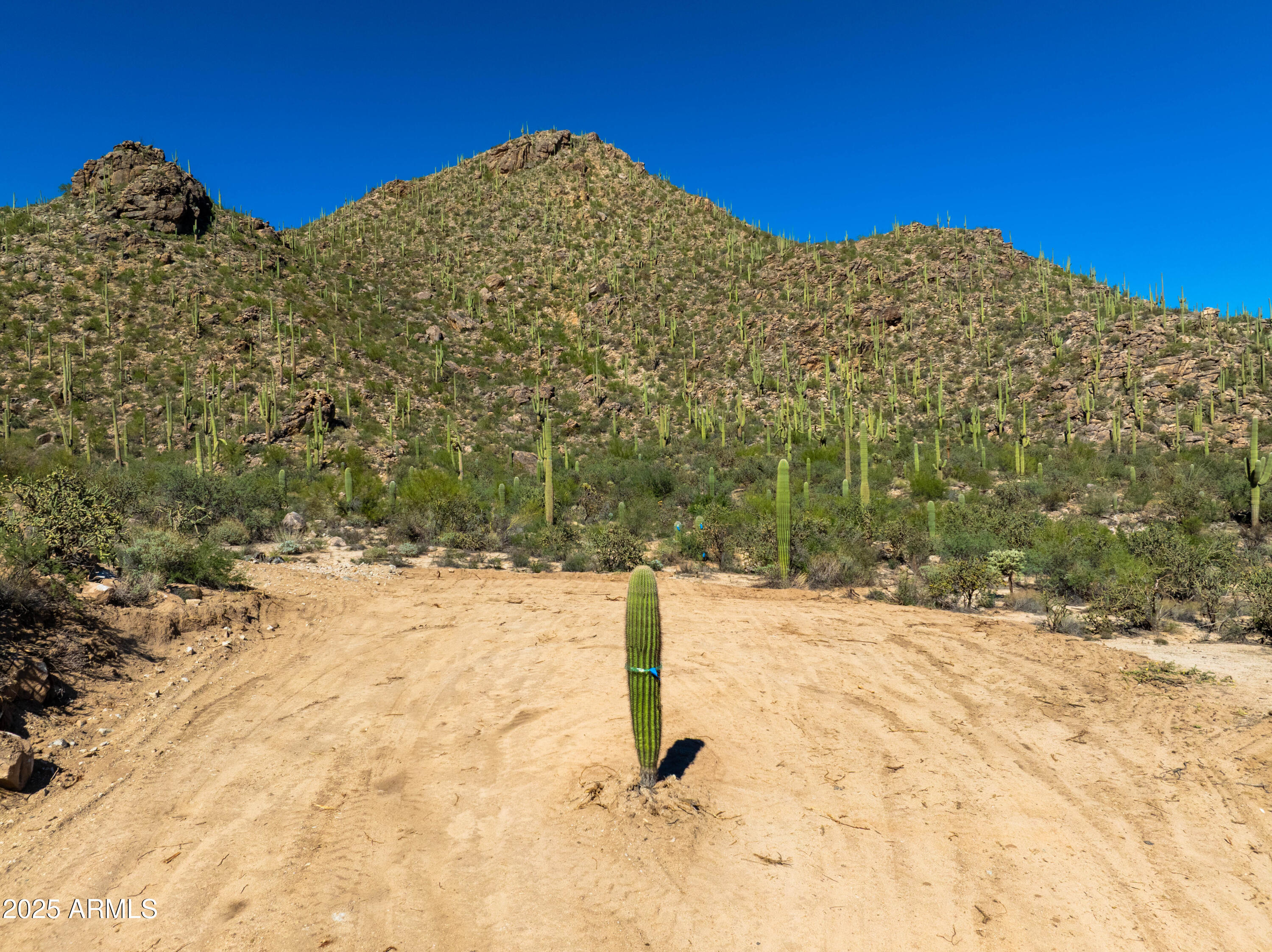Saguaro Ranch - Land