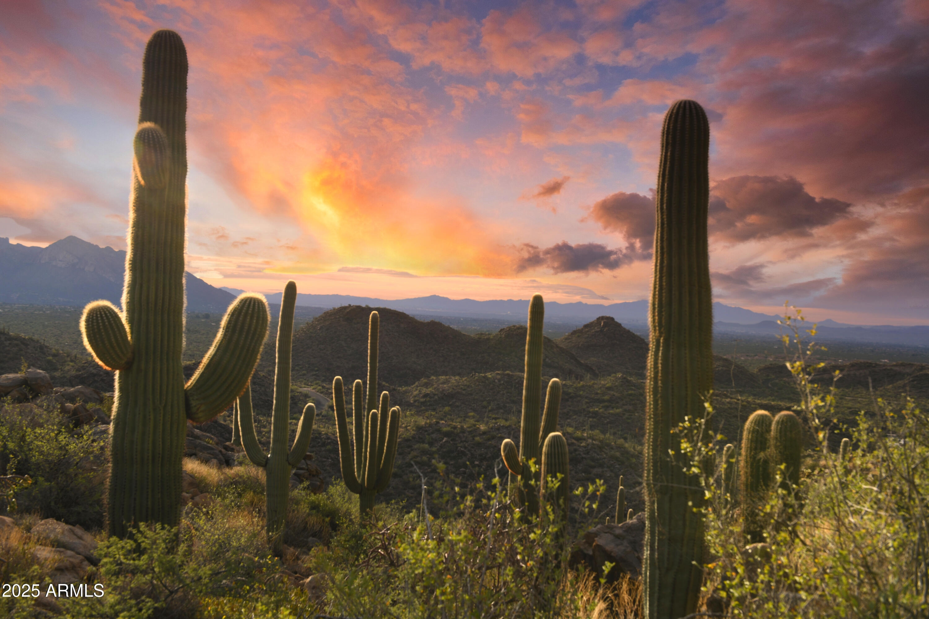 Saguaro Ranch - Land