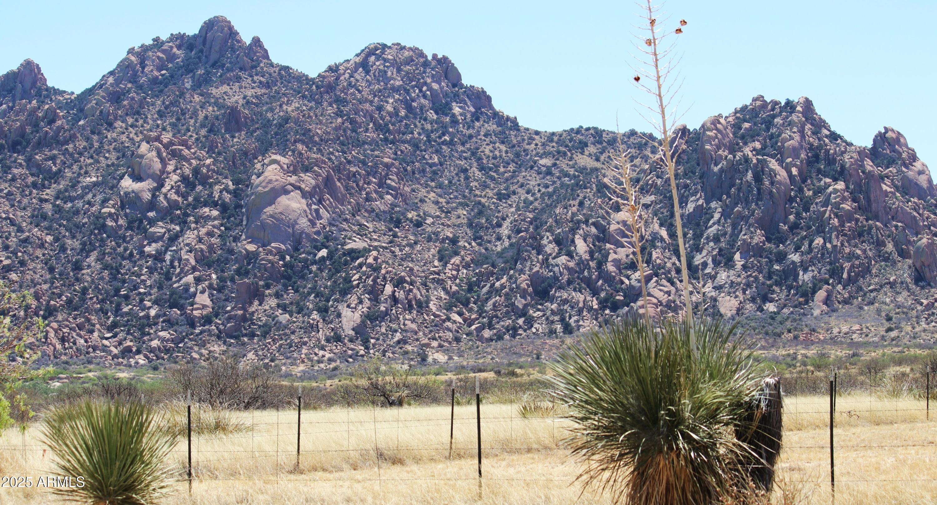 DRAGOON MOUNTAIN RANCH 1 - Land