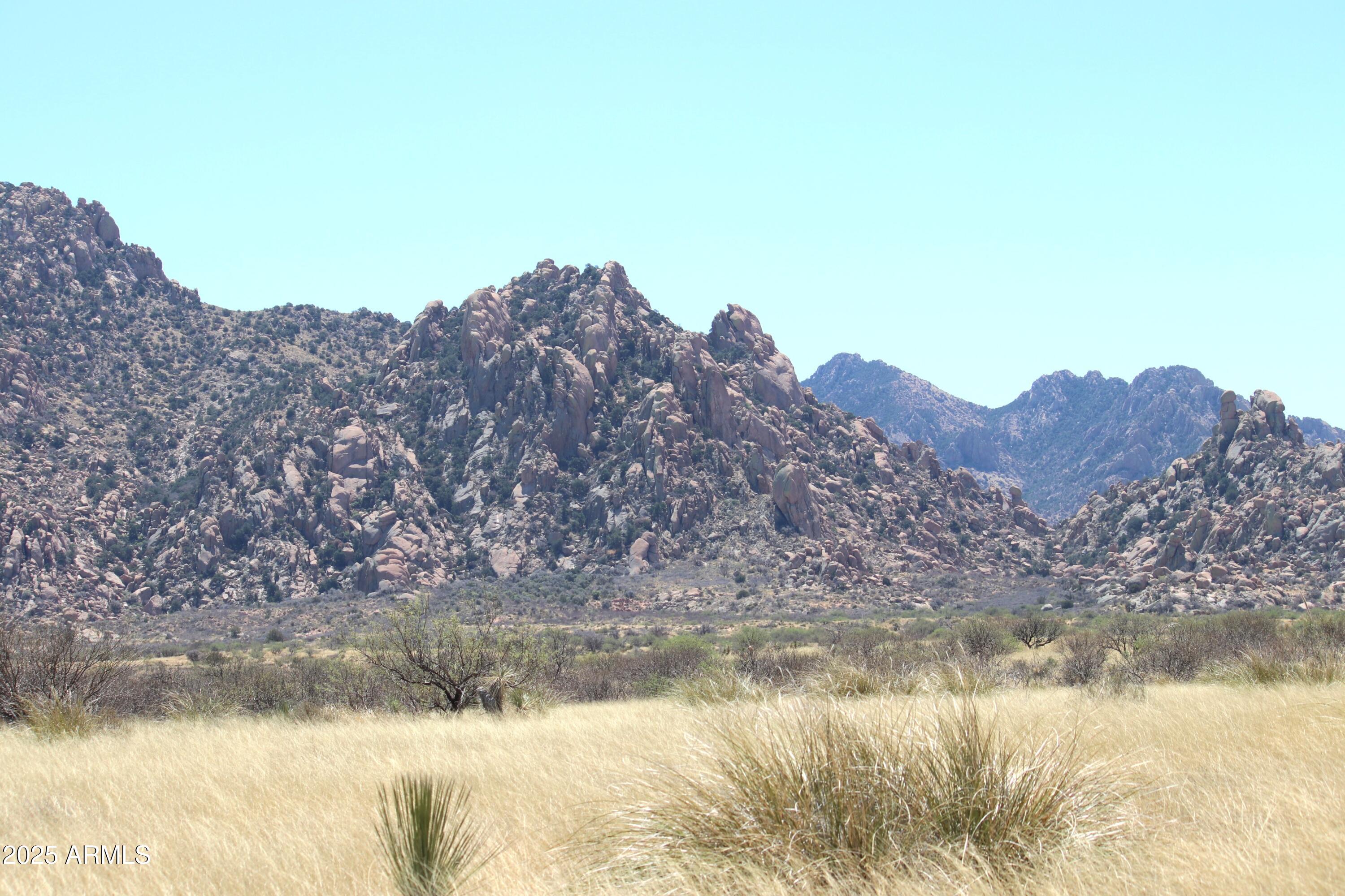 DRAGOON MOUNTAIN RANCH 1 - Land