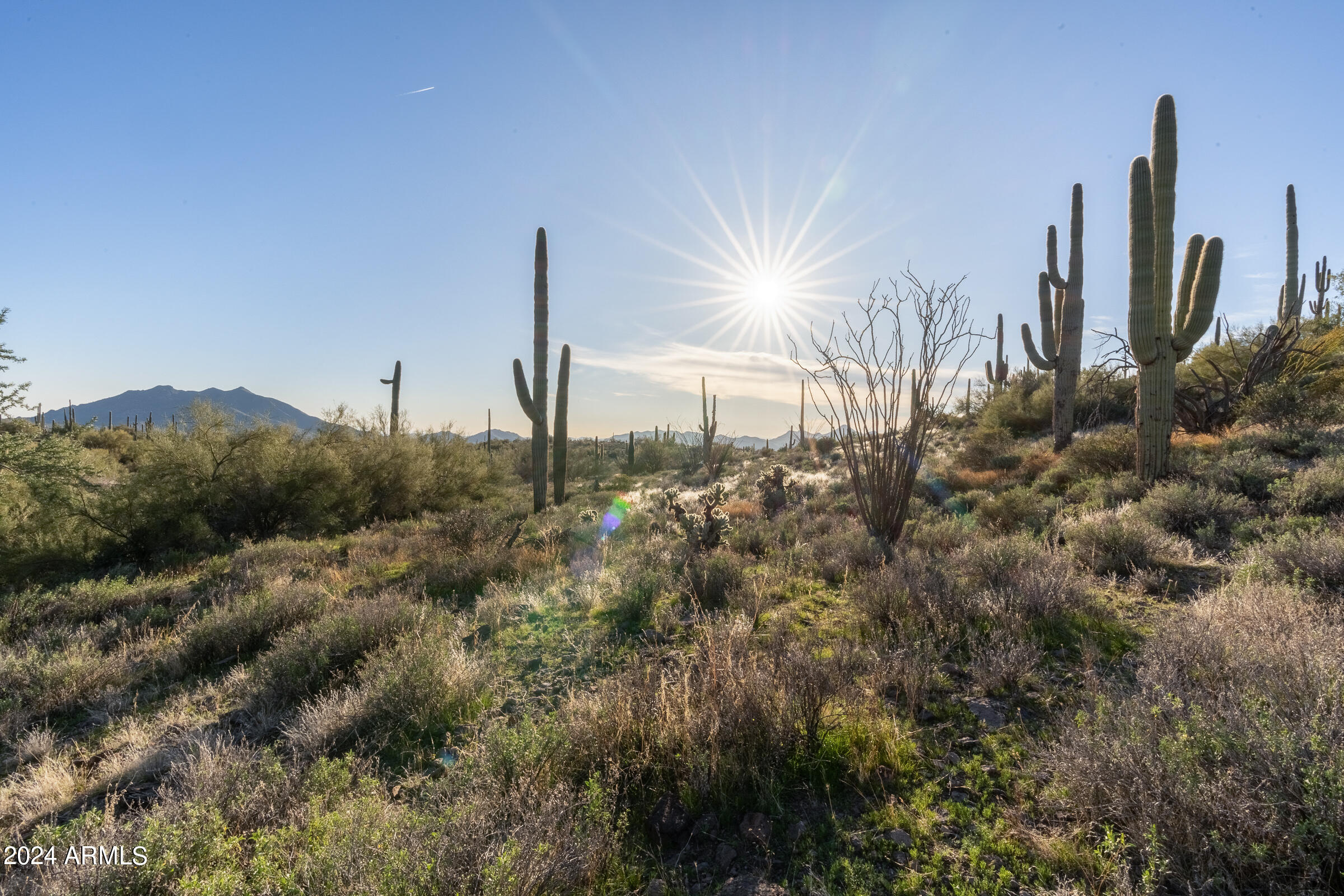 The Pioneer property grants the entrance of Continental Mountain Estates, a BedBrock luxury community where modern luxury meets the ''Old West''. Spanning 5.8 acres, this hillside lot slopes gently along the curves of the mountain, cradled amidst towering saguaro cacti and arid terrain. It offers breathtaking panoramic vistas of Black Mountain, and twinkling city lights of Cave Creek and Carefree extending to the stunning vistas of Scottsdale and Camelback Mountain in the horizon.  As one of only four custom homesites within this community, the Pioneer property presents the opportunity to work with award-winning luxury homebuilder BedBrock Developers to design and build your dream custom home, a blank canvas upon which to build your vision of a modern desert retreat. Embrace the tranquility of desert living just a short drive away from urban conveniences, ensuring the perfect balance of solitude, privacy and accessibility.