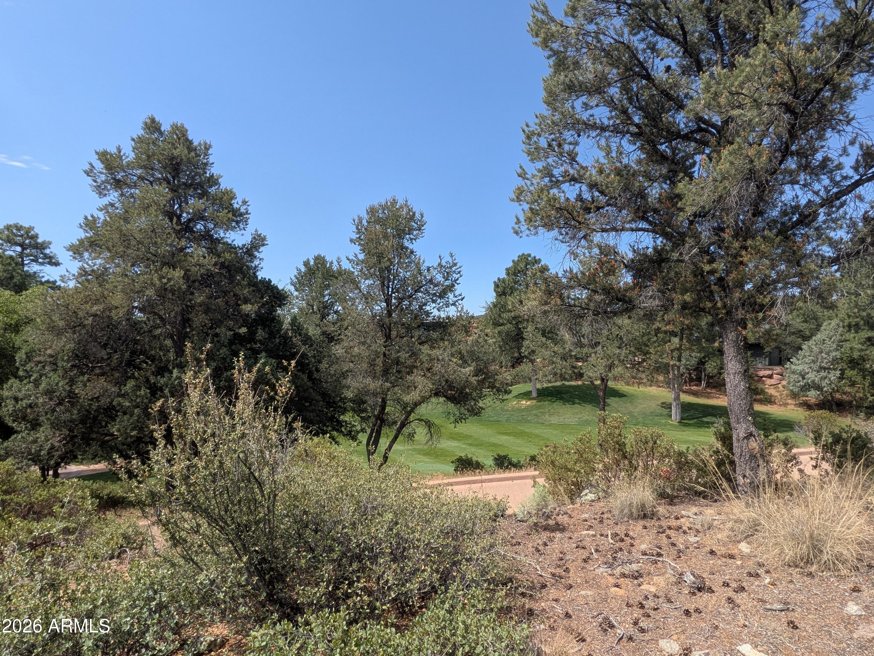CHAPARRAL PINES PHASE 1 - Land