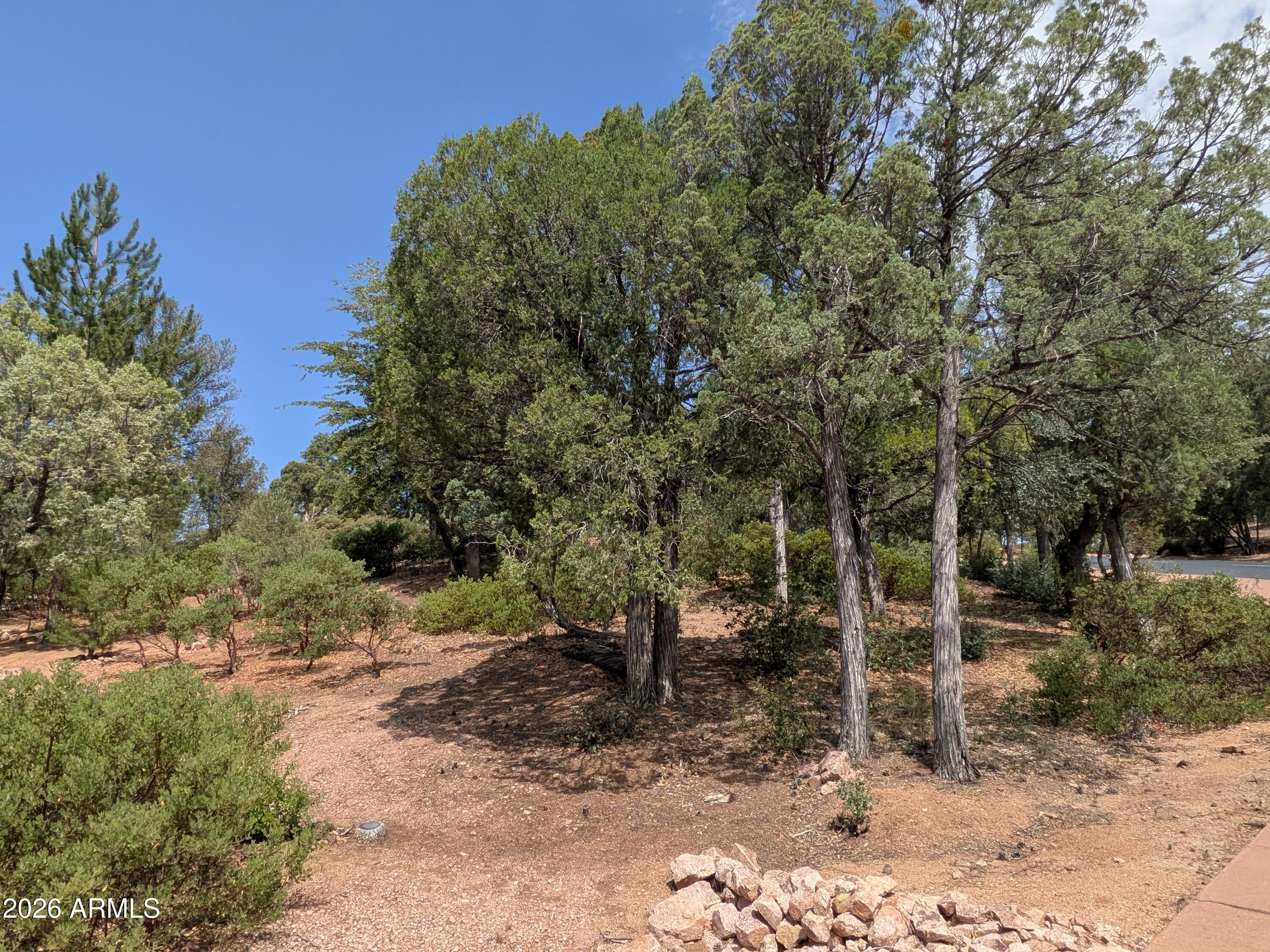 CHAPARRAL PINES PHASE 1 - Land