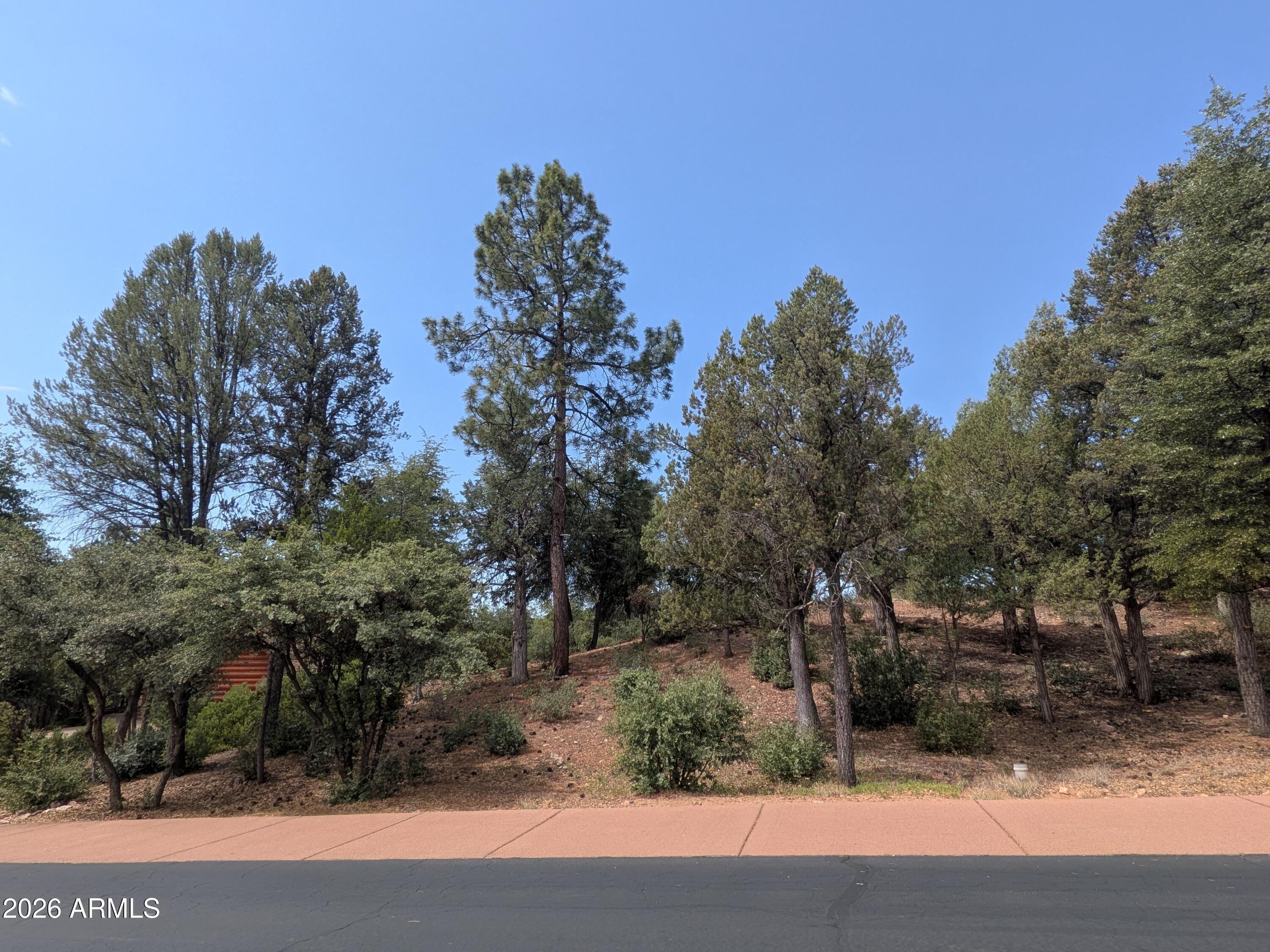 CHAPARRAL PINES PHASE 1 - Land