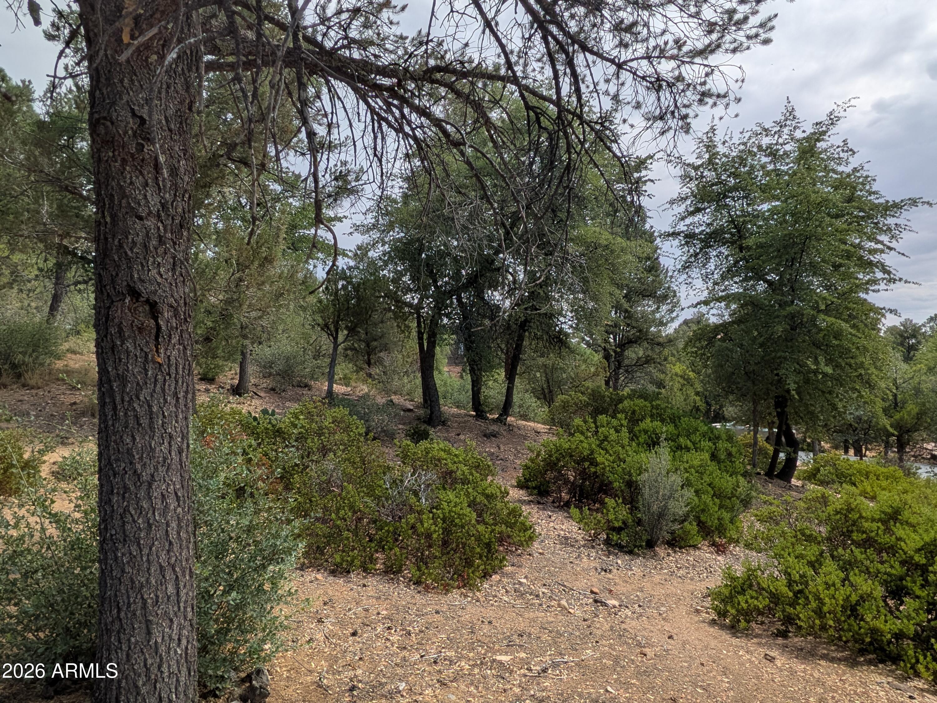 CHAPARRAL PINES PHASE 1 - Land