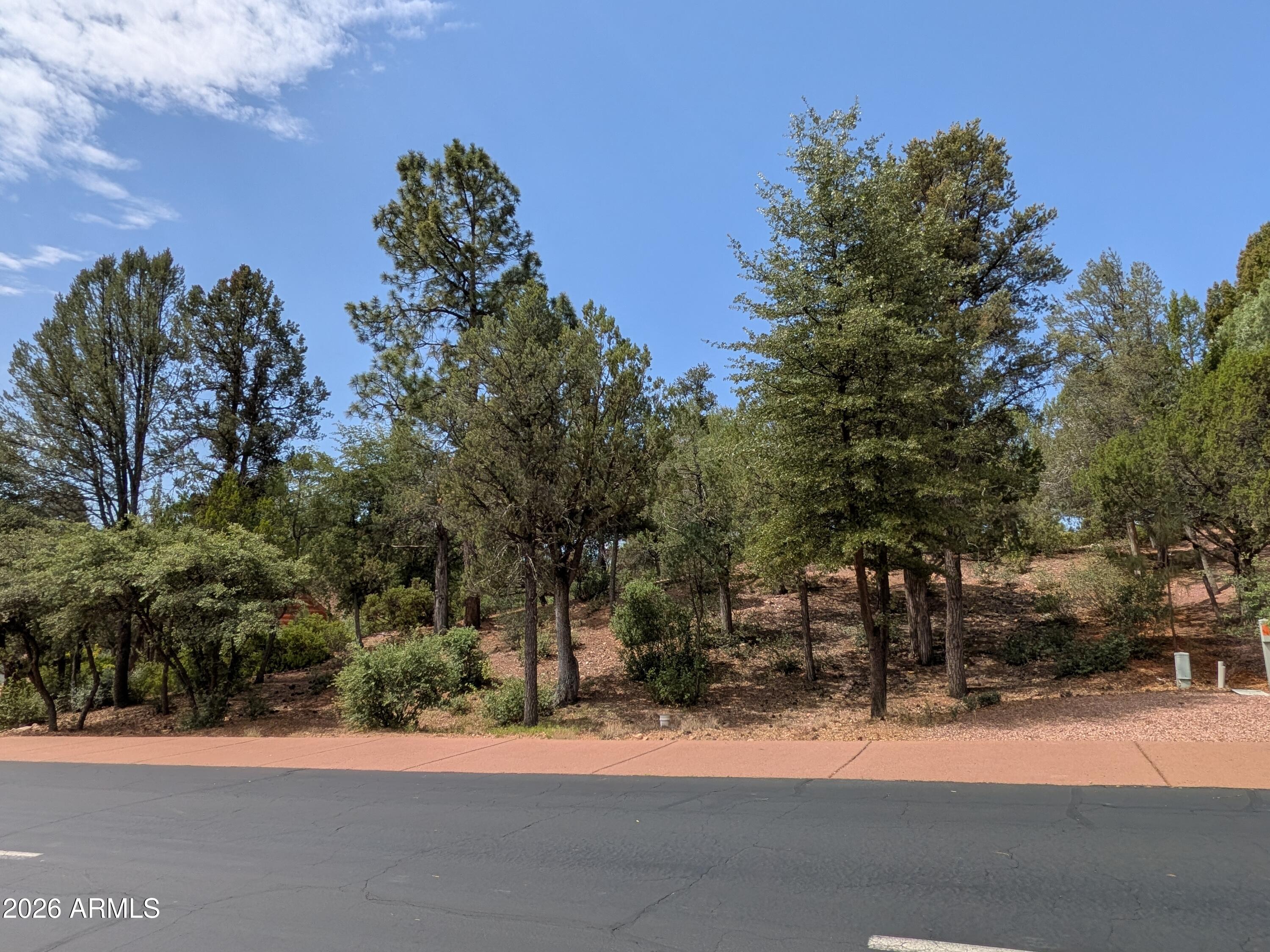 CHAPARRAL PINES PHASE 1 - Land