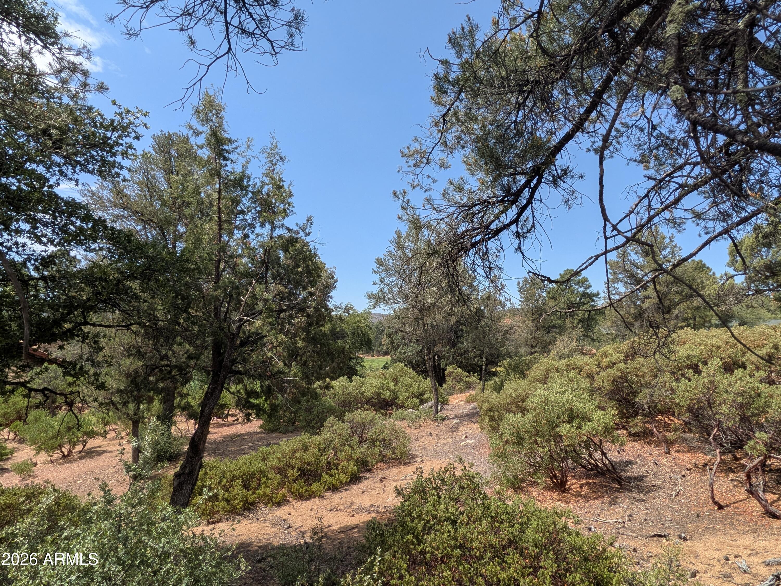 CHAPARRAL PINES PHASE 1 - Land
