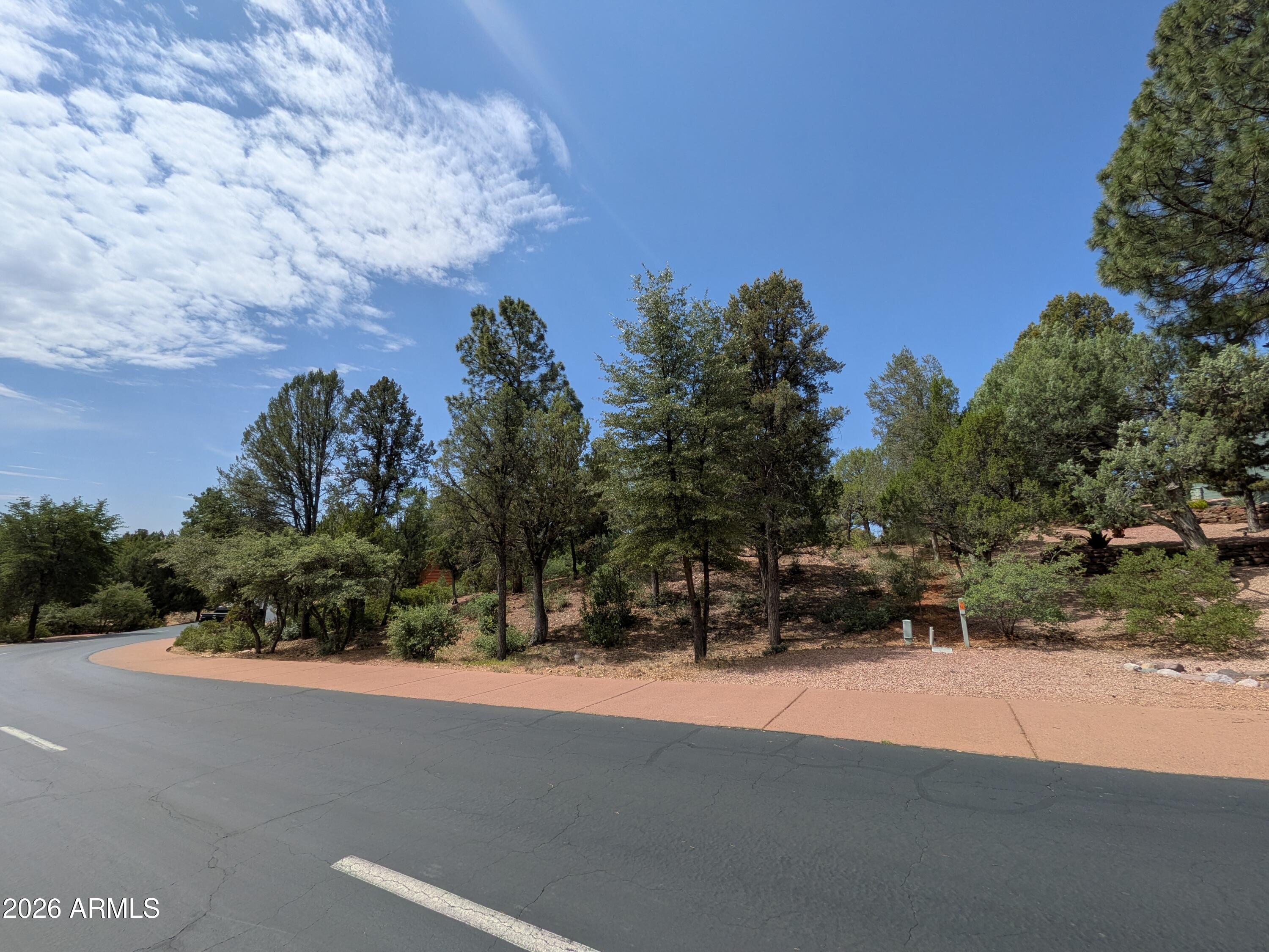 CHAPARRAL PINES PHASE 1 - Land