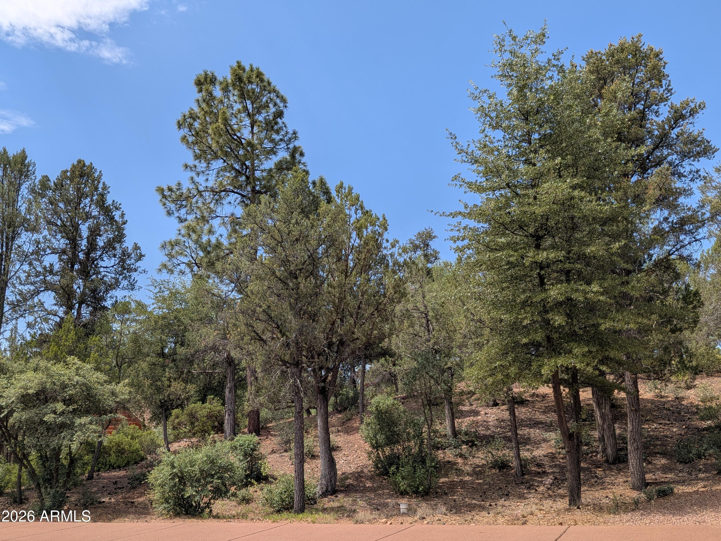 CHAPARRAL PINES PHASE 1 - Land