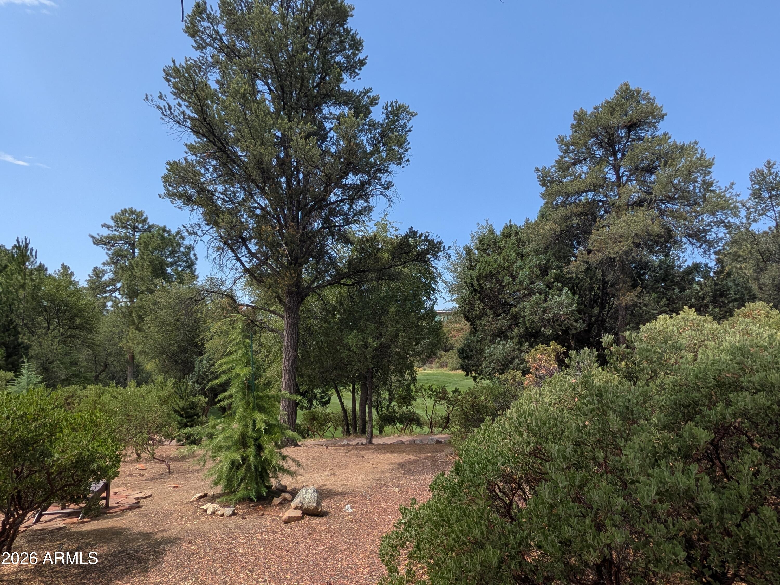 CHAPARRAL PINES PHASE 1 - Land