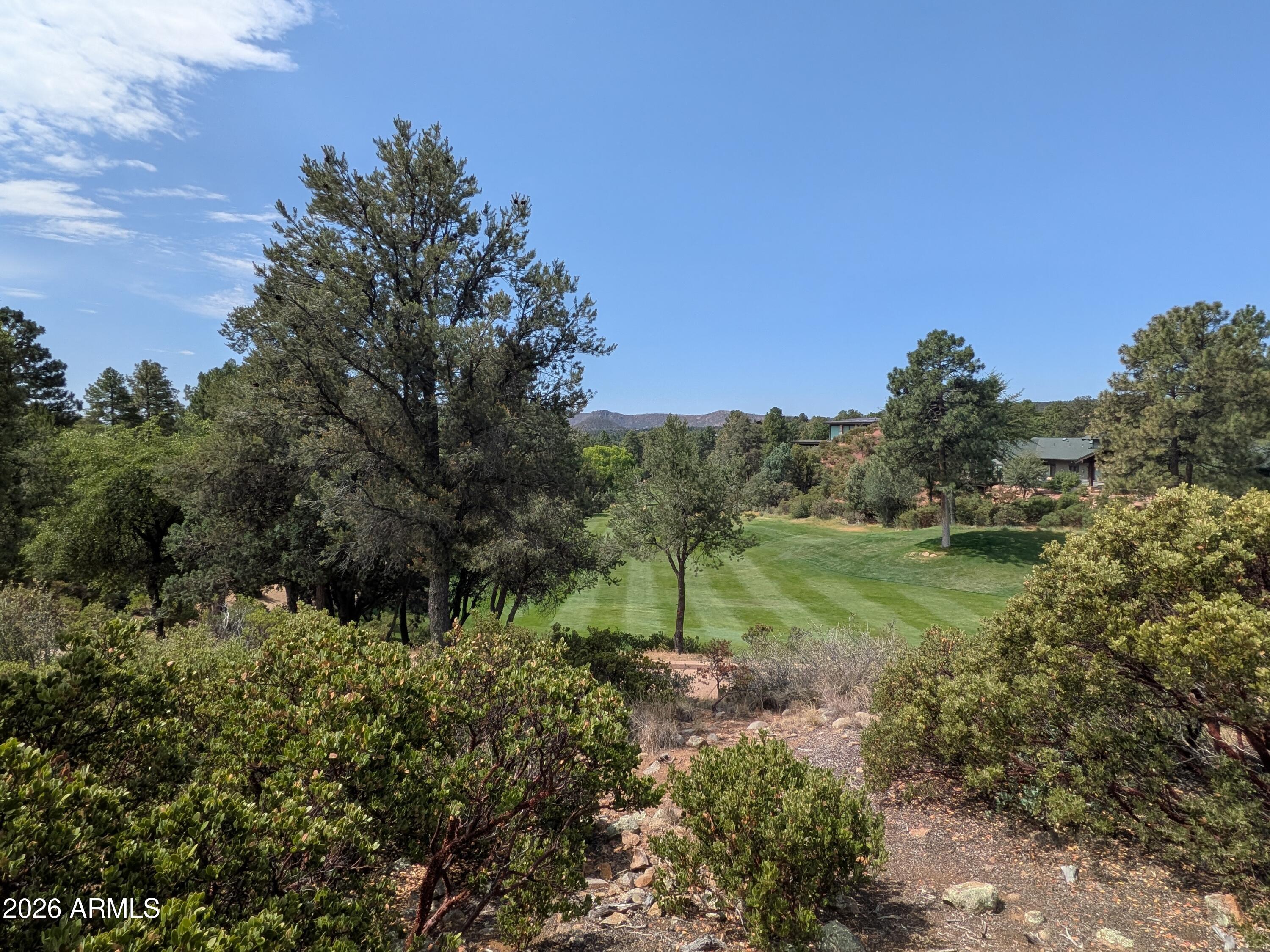 CHAPARRAL PINES PHASE 1 - Land