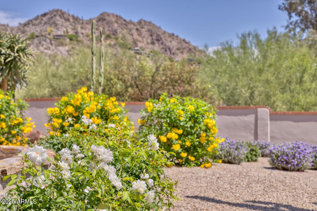 CLEARWATER HILLS PRVT ROADS & TR A - Residential