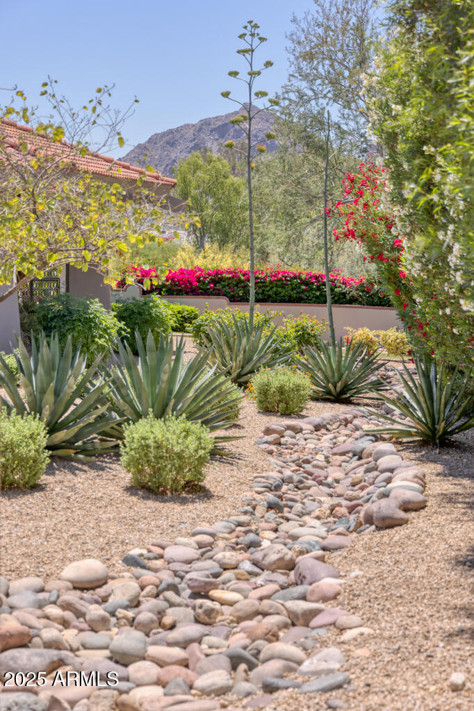 CLEARWATER HILLS PRVT ROADS & TR A - Residential