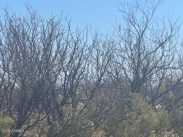 MESA VERDE ESTATES - Land