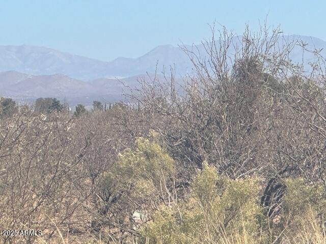 MESA VERDE ESTATES - Land