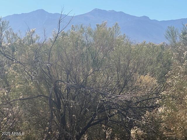 MESA VERDE ESTATES - Land