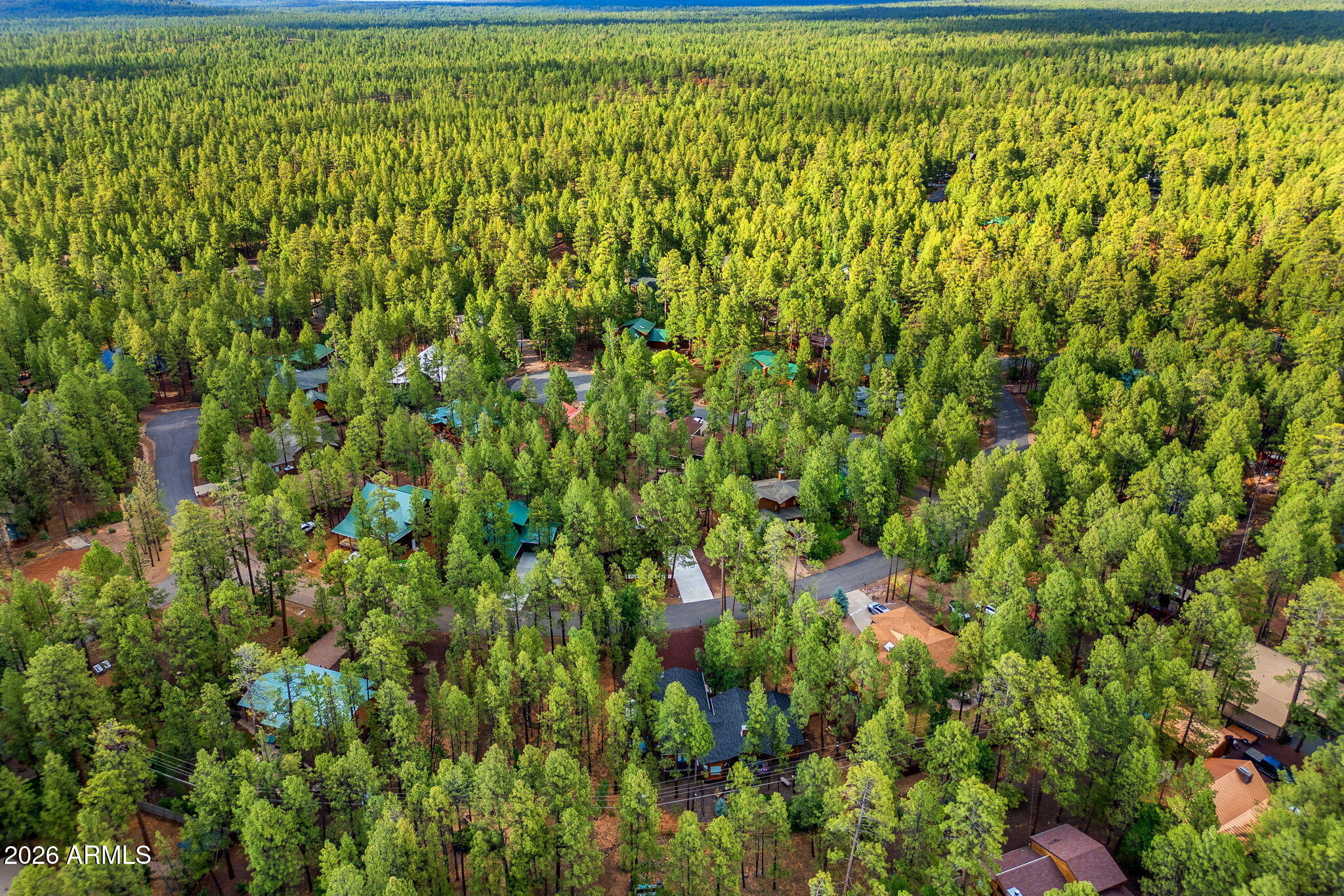 PINETOP LAKES PLAZA UNIT 1 - Residential