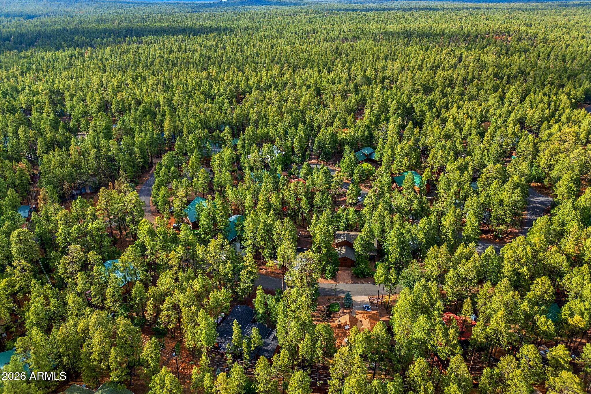 PINETOP LAKES PLAZA UNIT 1 - Residential