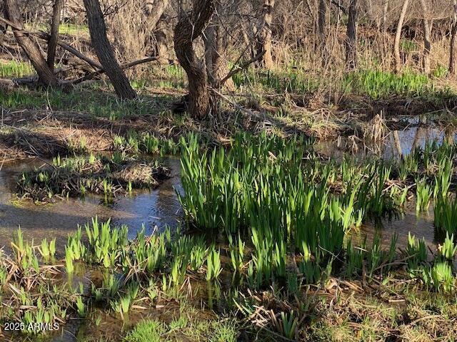 TONTO CREEK SHORES - Land