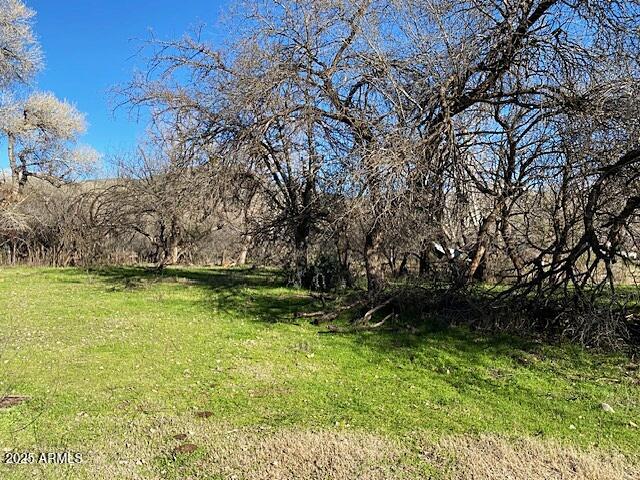 TONTO CREEK SHORES - Land