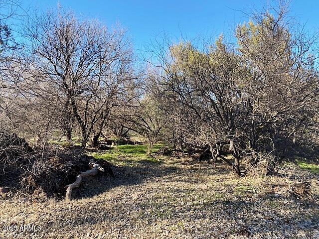 TONTO CREEK SHORES - Land