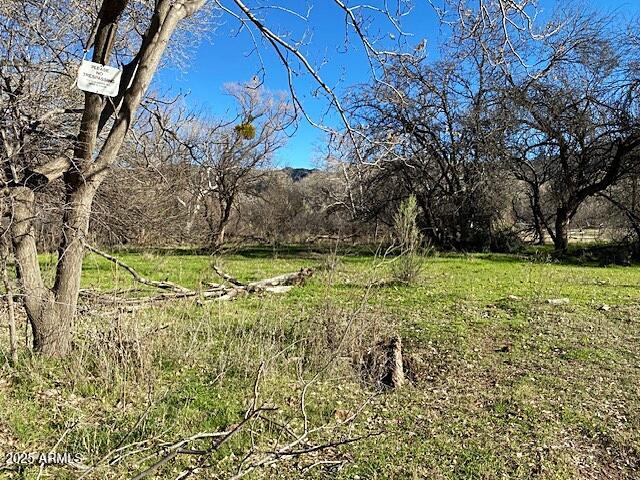A Rare Opportunity to own SEVEN LOTS In Gisela! (1.63 acres total) Six of these lots are contiguous and are right on the corner of Tonto Creek Drive and Buckboard Trail. The seventh lot is across the road easement on the back boundary, and it borders the National Forest with Tonto Creek nearby! Plan your escape from the city to enjoy the fresh air, lush scenery, and wonderful mountain views that surround this unique setting. If Phoenix is too hot in the Summer and Payson is too cold in the Winter, then you will find Gisela to be JUST RIGHT!  It is only a 20 minute drive from Gisela to Payson and a great mid-point between Roosevelt Lake and the seven picturesque Rim Lakes and streams. Whether you envision a cozy cabin getaway, a sprawling ranch-style estate, or a charming homestead, these versatile lots invite you to bring your architectural dreams to life. Don't Let This Great Opportunity Pass You By!