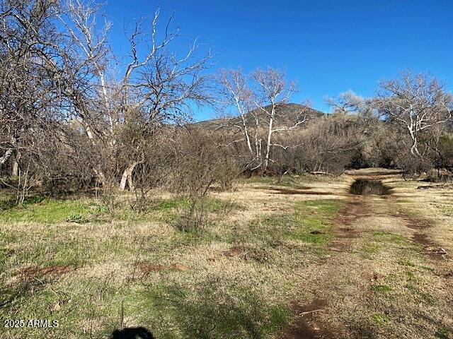 TONTO CREEK SHORES - Land