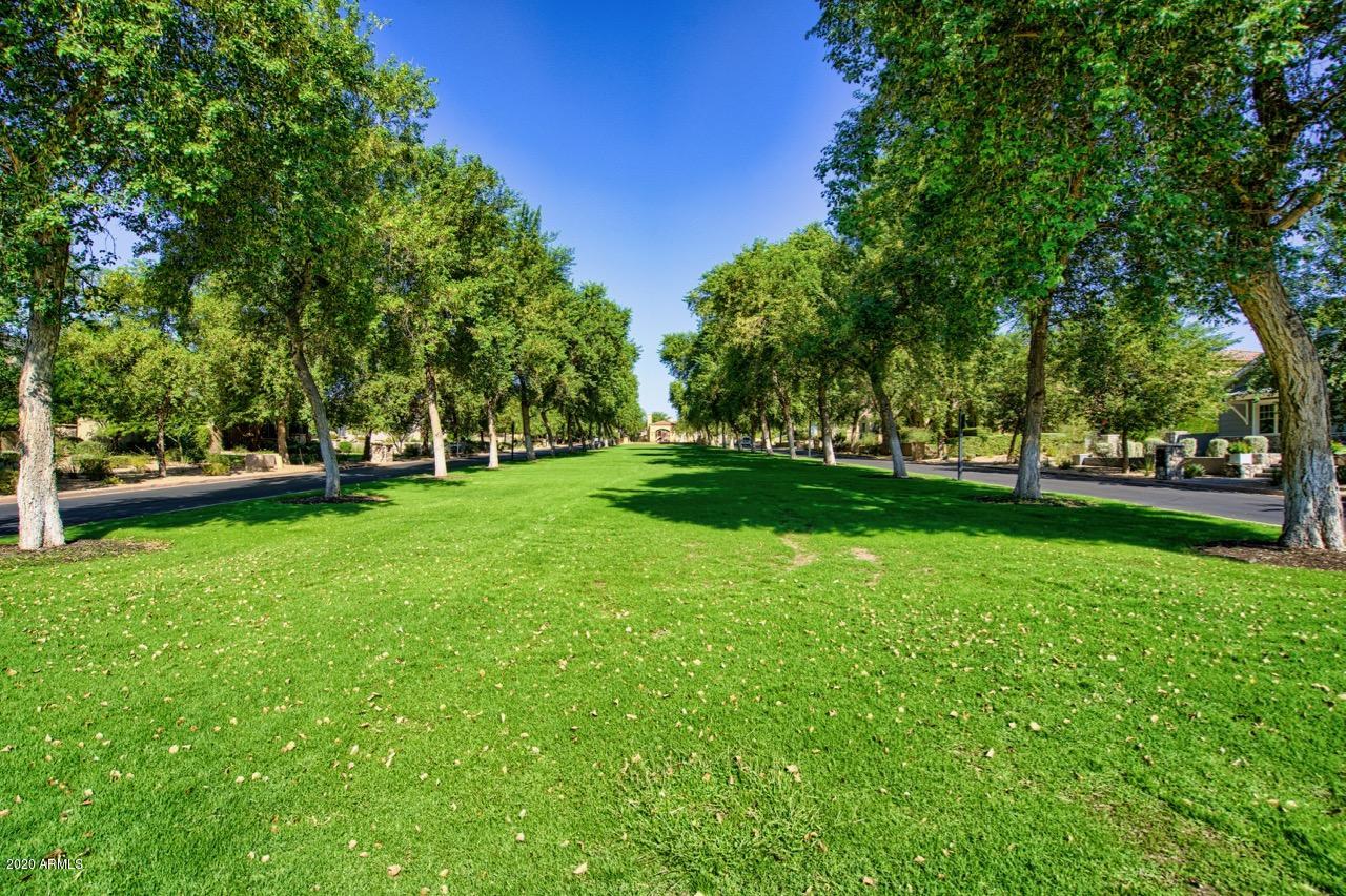 Silverleaf at DC Ranch - Residential