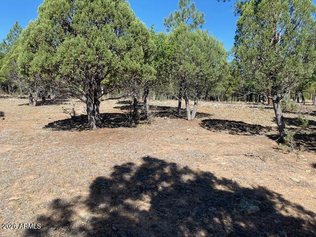 PINE CANYON 1 - Land
