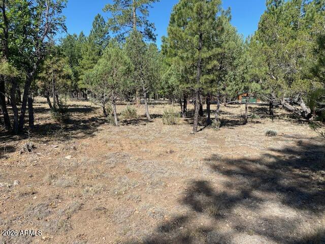 PINE CANYON 1 - Land