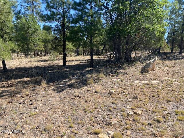 PINE CANYON 1 - Land