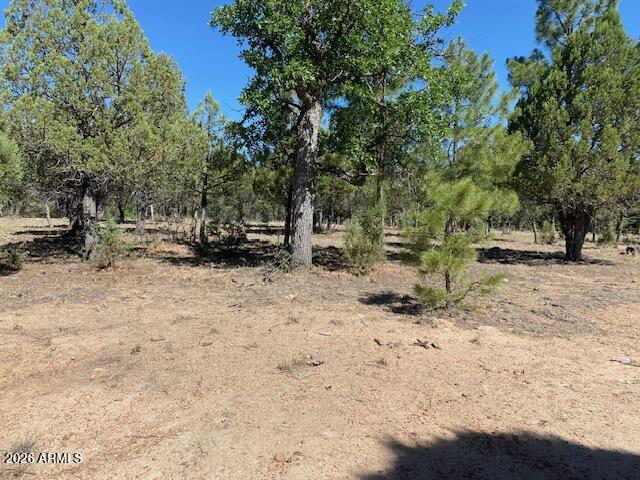 PINE CANYON 1 - Land