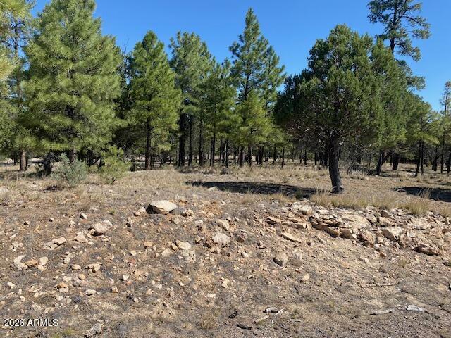 PINE CANYON 1 - Land