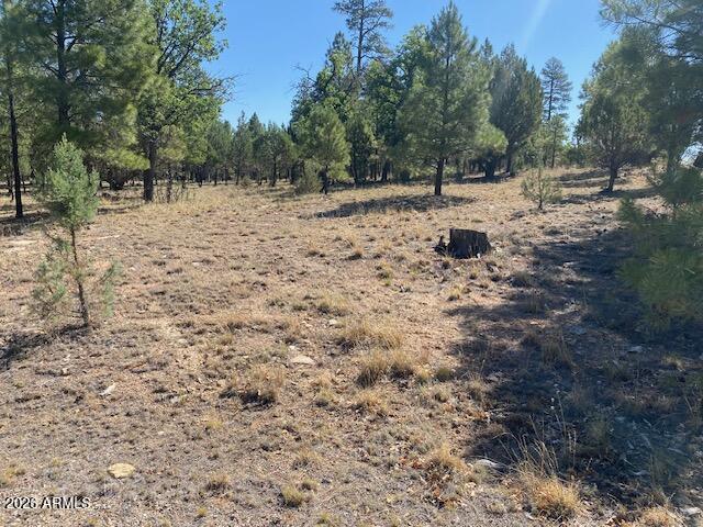 PINE CANYON 1 - Land