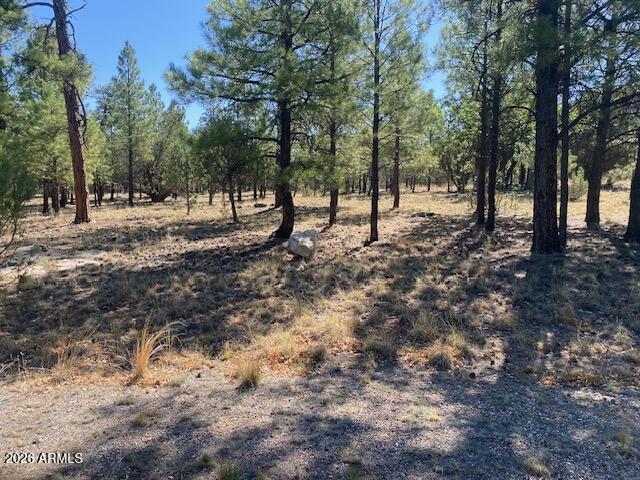 PINE CANYON 1 - Land