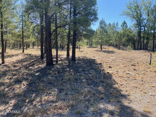 PINE CANYON 1 - Land