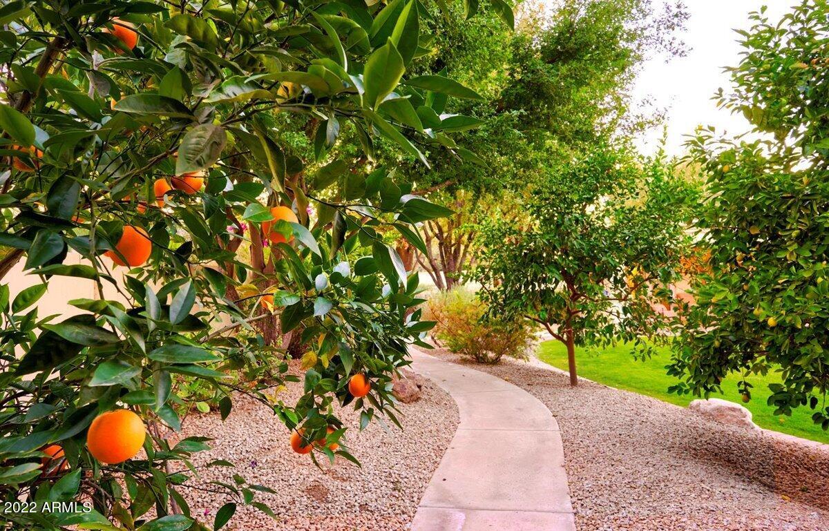 W2 W2 N2 NW4 SE4 NW4 EX N 33' 1.13ac - Residential