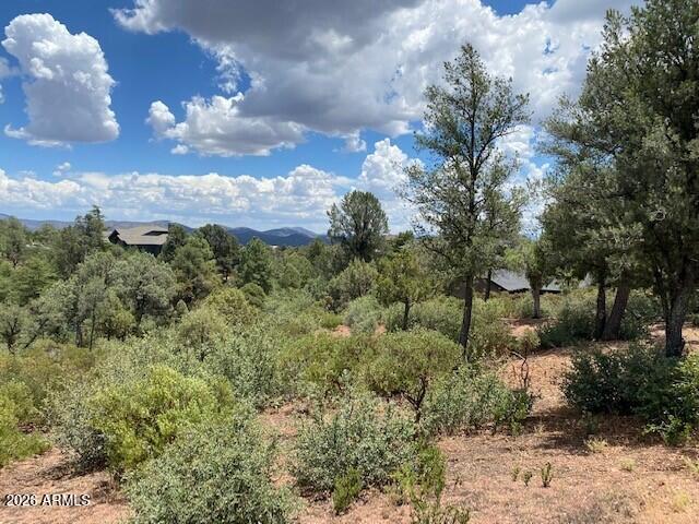 CHAPARRAL PINES PHASE 1 - Land