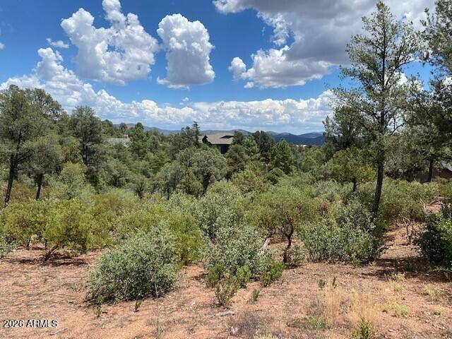 CHAPARRAL PINES PHASE 1 - Land