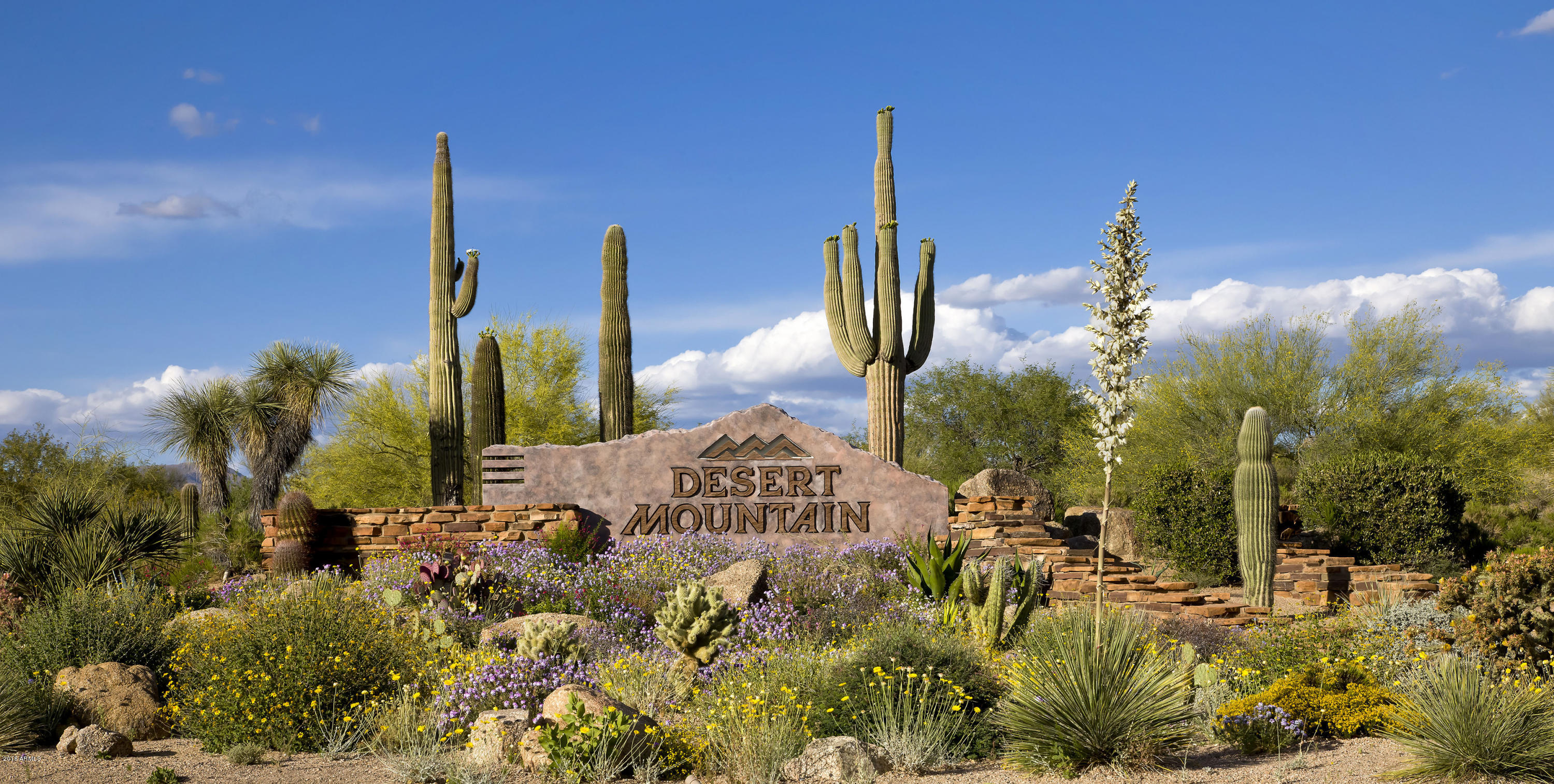 Desert Mountain - Residential